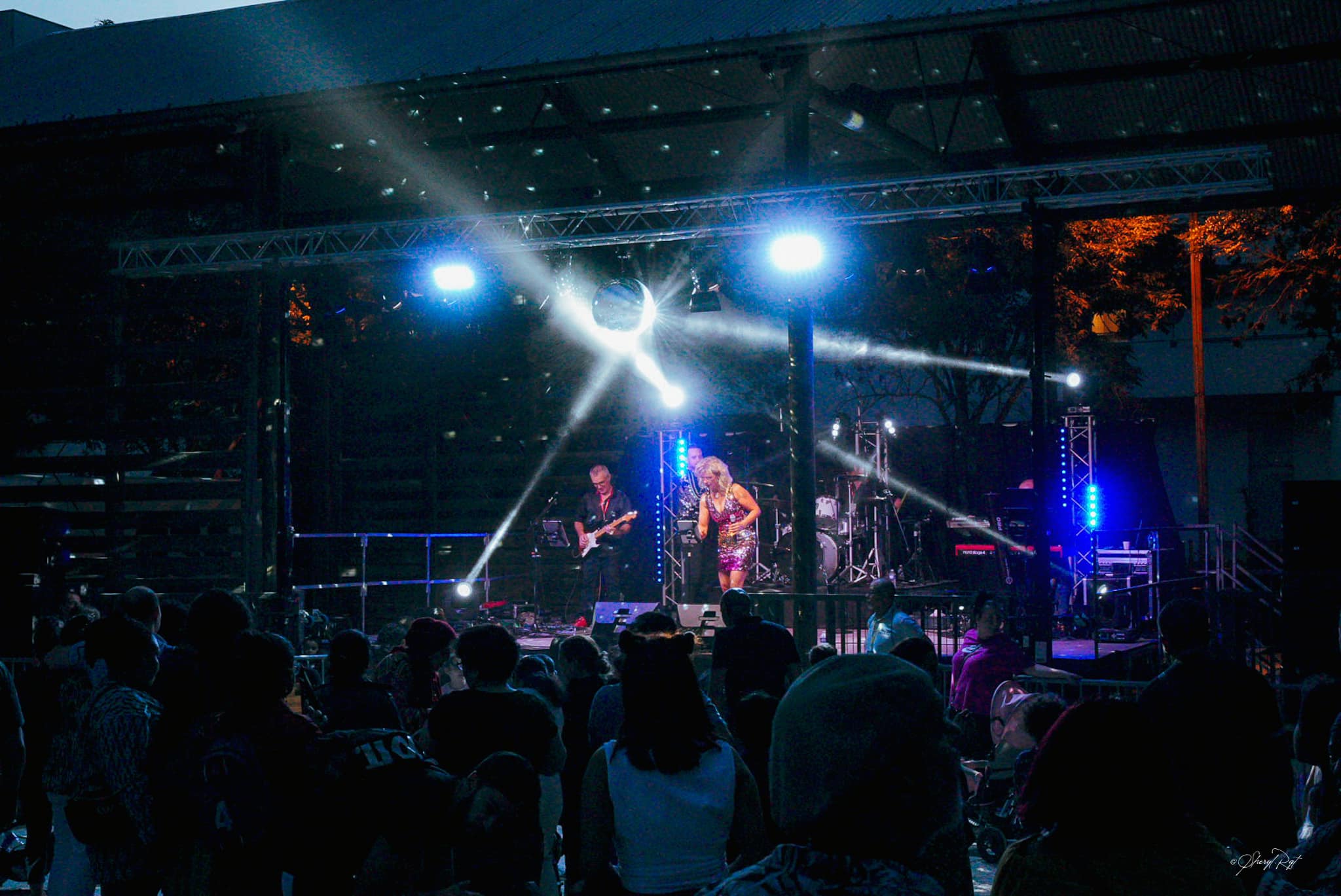 L'orchestre en concert
