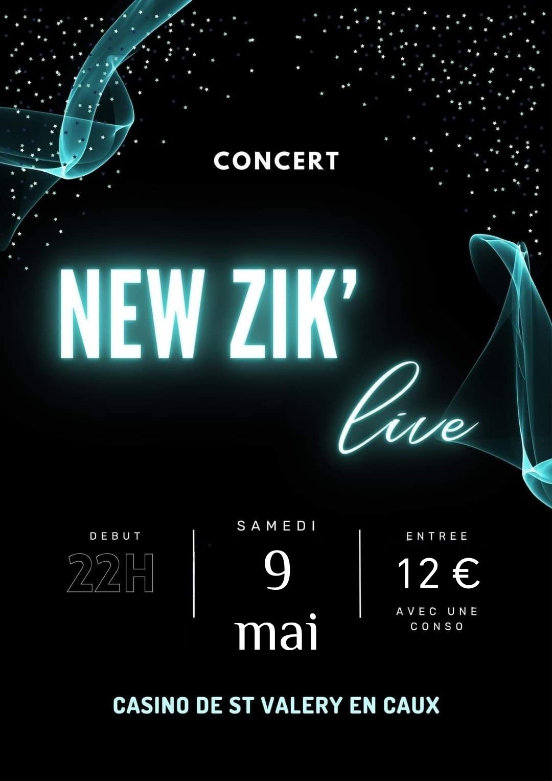 L'orchestre en concert